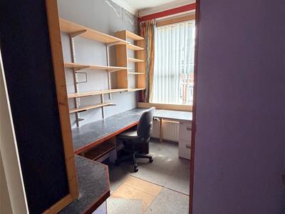 Picture 29